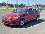 2017 Red Hyundai Sonata (5NPE24AF5HH) with an 4-Cyl, 2.4 Liter engine, Auto, 6-Spd Shiftronic transmission, located at 8008 Warden Rd, Sherwood, AR, 72120, (501) 801-6100, 34.830078, -92.186684 - Photo#7